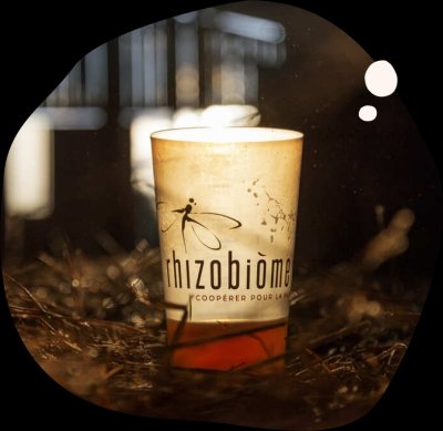 rhizobiome.jpg